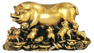 Golden Pig