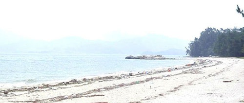 Sorokdo