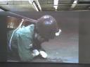 Cello 3