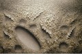 Chun Kwang Young - Aggregation 2006