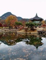 Thumbnail image for The LKL Korea Trip 2009 – reflections