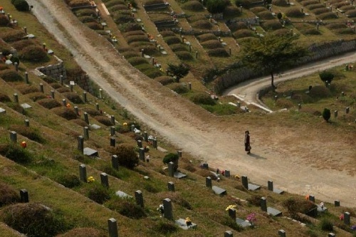 Mother in the Graveyard Mother in the Graveyard
