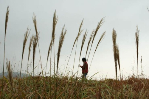 Mother grass Mother grass