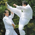 Thumbnail image for Taekkyeon gets UNESCO listing