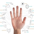 Thumbnail image for Traditional Korean medicine and hand acupuncture in Team Korea House