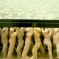 Thumbnail for post: Suh Do-ho solo exhibition at Serpentine Gallery