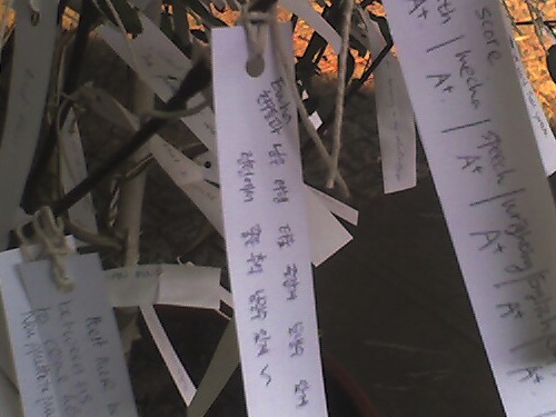 Korean wish