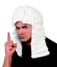 Silly pic of judges wig