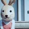 Rabbits and Bears