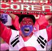 Football fan