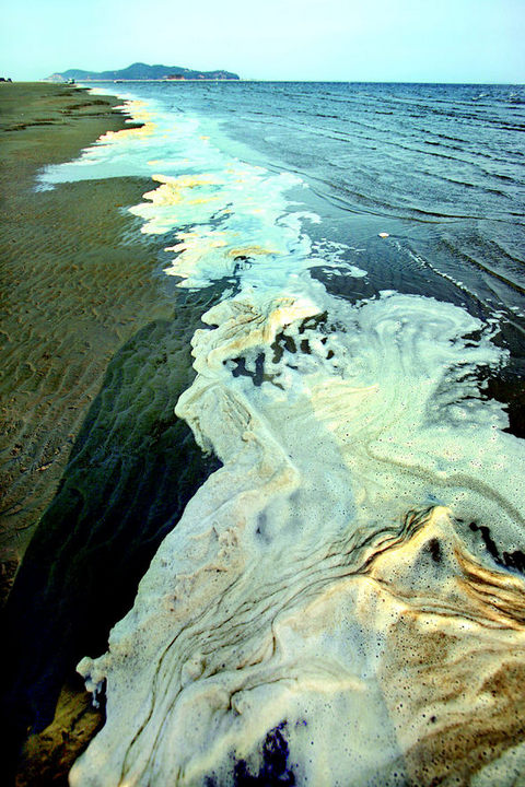 Hankyoreh photo of Saemangeum: sea foam devoid of life washes up on the Geojeon tidal flats