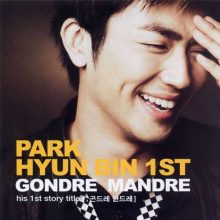 Park Hyun Bin #1: Gondre Mandre