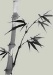bamboo divider