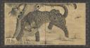 Gregg Baker Tiger screen