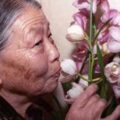 Thumbnail for post: Amnesty International spotlights Comfort Women issue