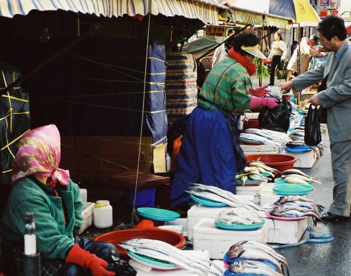 In Jagalchi Fish Market, Busan
