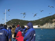 Off Yeongdo Island, Busan