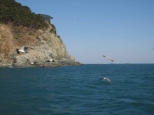 Off Yeongdo Island, Busan