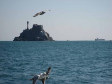 Off Yeongdo Island, Busan