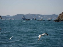 Off Yeongdo Island, Busan