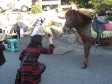 On Yeongdo Island, Busan