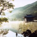 Thumbnail for post: Spring, Summer at the KCC