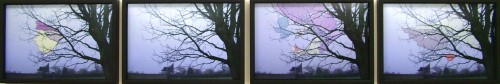 Dae Hun Kwon - Shapes to be found in trees' branches