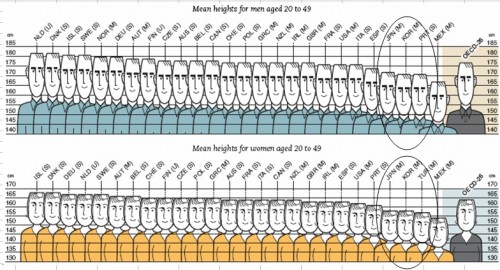 OECD height chart OECD height chart