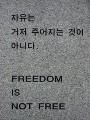 Freedom is not free