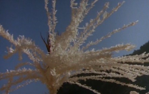 A shaman tree from Man with Three Coffins