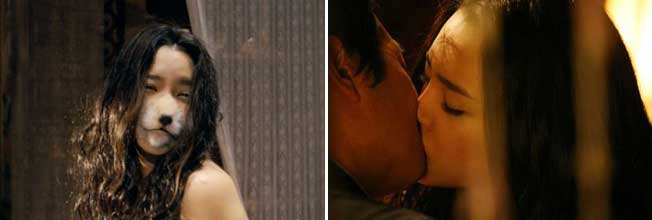 Stills from The Fox Family