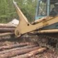 Thumbnail for post: North Korean labourers in Russia