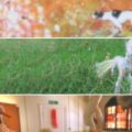 Thumbnail for post: Moment of the Passing – 491 Gallery