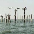 Thumbnail for post: Exhibition Visit: Earth Alert – Environmental protest goes mainstream