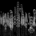 Thumbnail for post: 2009 Biennale footnotes