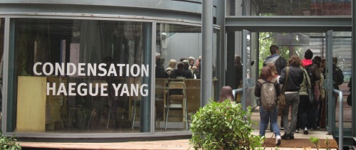 Yang_banner Yang_banner
