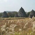 Thumbnail for post: Jeju’s destiny is set in stone