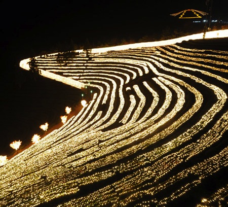 Boseong Tea Slopes