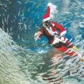 Thumbnail for post: Sardine Santa at the COEX Aquarium