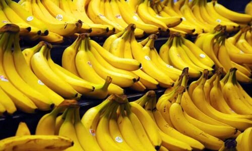 a bunch of bananas