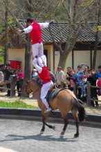 Some circus-style horse-riding at Yongin Folk Village