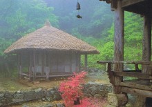 Tea house Iljiam in Daehengsa Temple in Korea (from Korean Cultural Insights)
