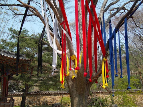 Five colours of streamers hanging from the tree