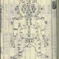 Thumbnail for post: Double entry, poison and murder: historical sources examined at SOAS