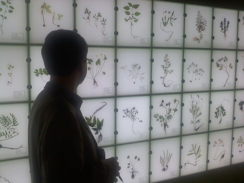 Inside the herbal medicine museum in Sancheong-gun