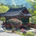 Thumbnail for post: 2010 Travel Diary #27: Daewonsa – the magic at sundown