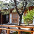 Thumbnail for post: 2010 Travel Diary #38: Return to Seoul