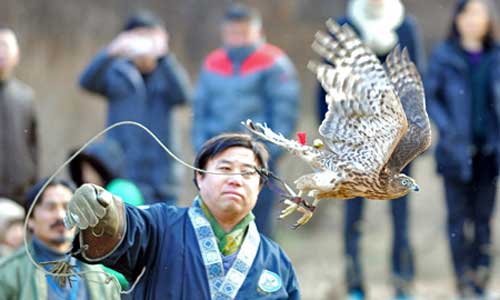 Falconry