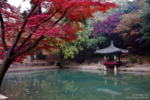 Kim Sung-jin: the Secret Garden