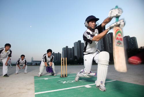 Sungkyunkwan University Dragons cricket team